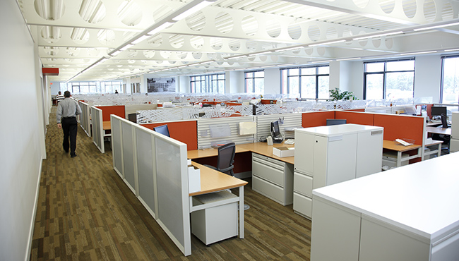 Cubicles in an office